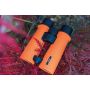 Dörr -  Roof Prism Binoculars - SIGNAL XP - 8x42 thumbnail