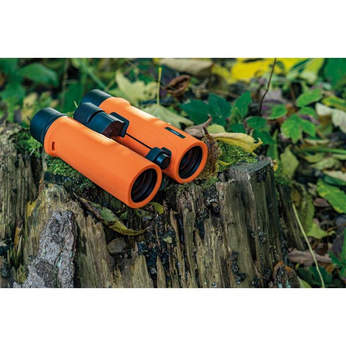 Dörr -  Roof Prism Binoculars - SIGNAL XP - 8x42