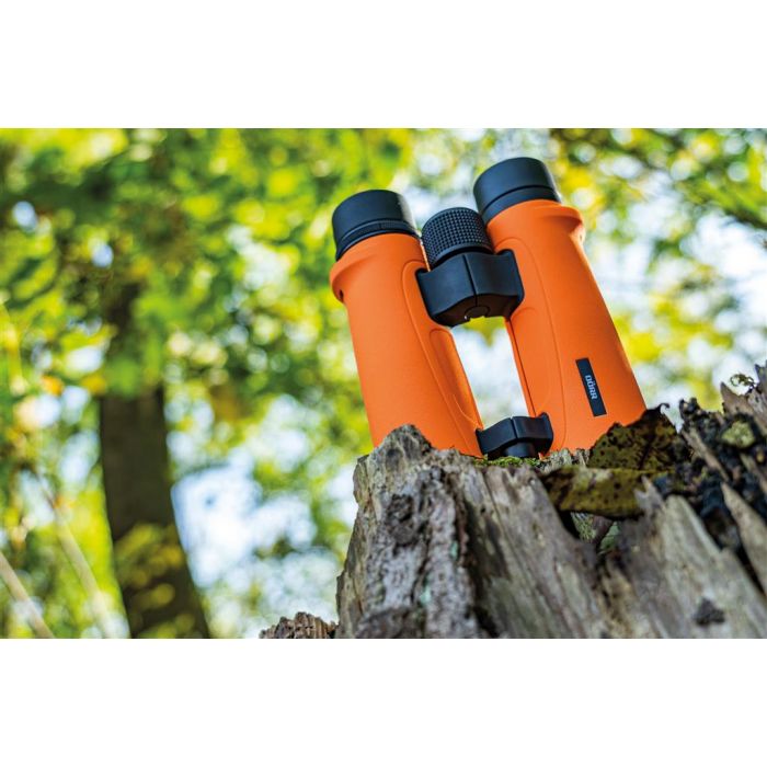 Dörr -  Roof Prism Binoculars - SIGNAL XP - 8x42