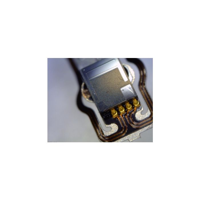 Digital PC Microscope  - Longer Working Distance + Interchangeable Front Caps